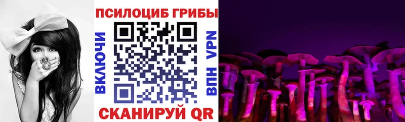 MEGA как войти  Южноуральск  Псилоцибиновые грибы ЛСД  как найти закладки 